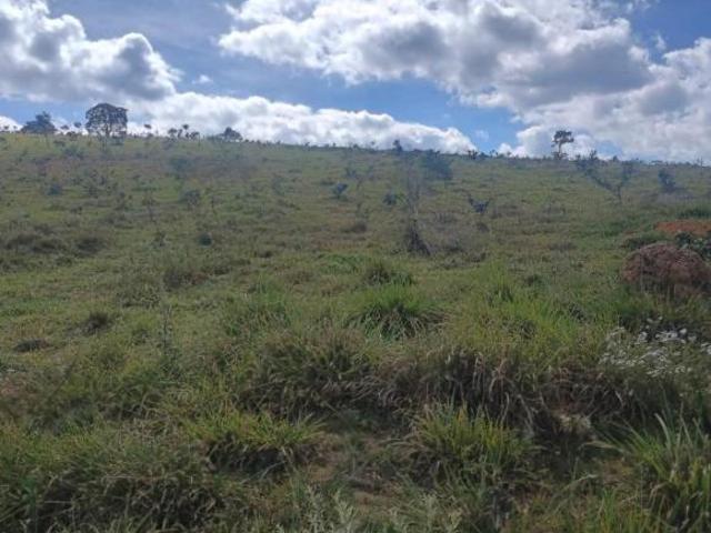 Terreno venda em Região Geográfica Imediata de Oliveira, Passa Tempo