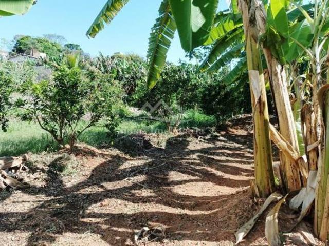 Terreno venda em Cônego Getúlio, Patos de Minas