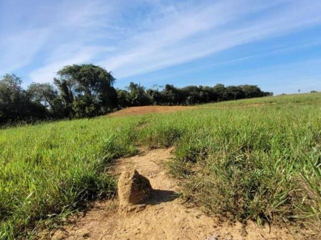 Terreno venda em Região Geográfica Imediata de Coxim, Pedro Gomes