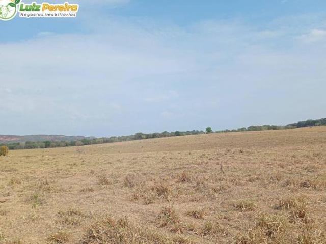 Terreno venda em Pedro Gomes