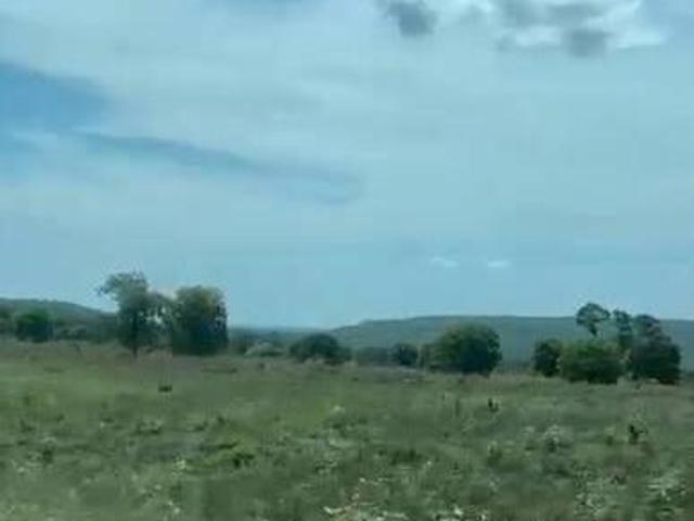 Terreno venda em Região Geográfica Imediata de Coxim, Pedro Gomes