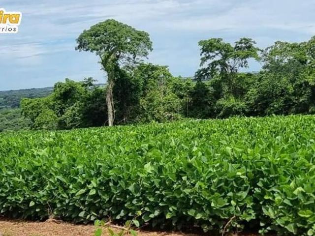 Terreno venda em Vila São João, Pedro Gomes