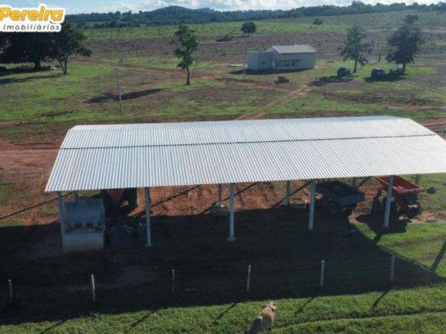 Terreno venda em Região Geográfica Imediata de Coxim, Pedro Gomes