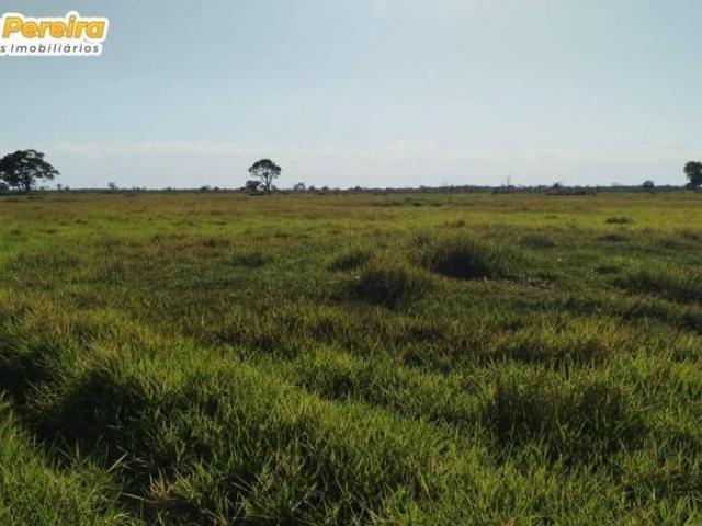 Terreno venda em Região Geográfica Imediata de Campo Grande, Rio Negro