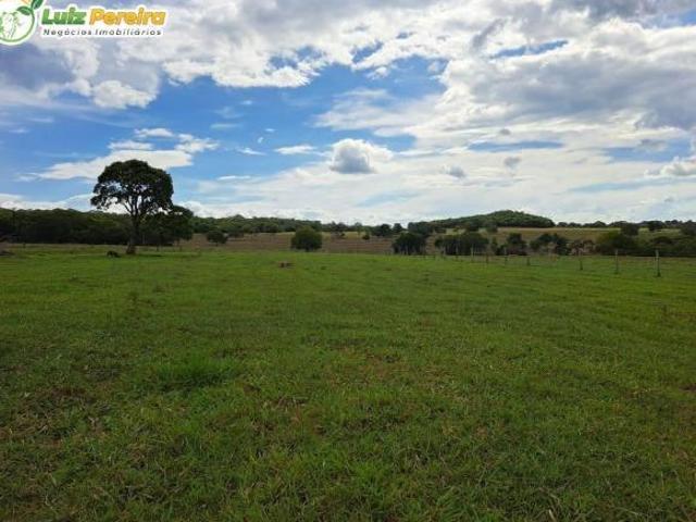 Terreno venda em Região Geográfica Imediata de Campo Grande, Rio Negro