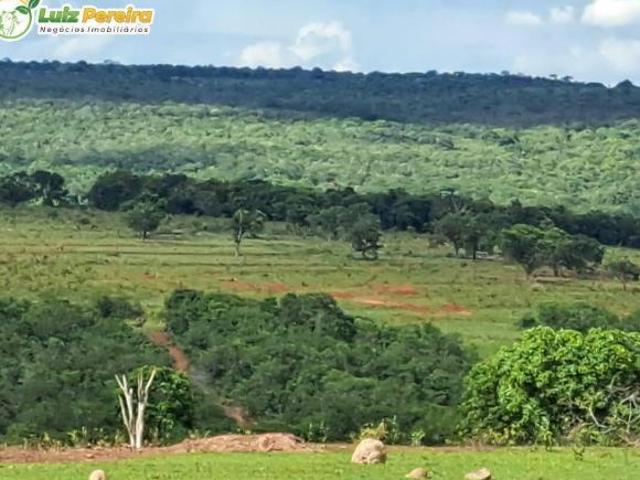 Terreno venda em Região Geográfica Imediata de Coxim, Rio Verde de Mato Grosso