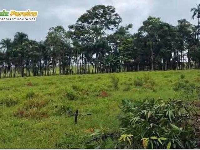 Terreno venda em Rondolândia, Região Geográfica Intermediária de Sinop