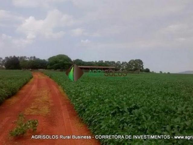 Terreno venda em Região Geográfica Imediata de Rondonópolis, Rondonópolis