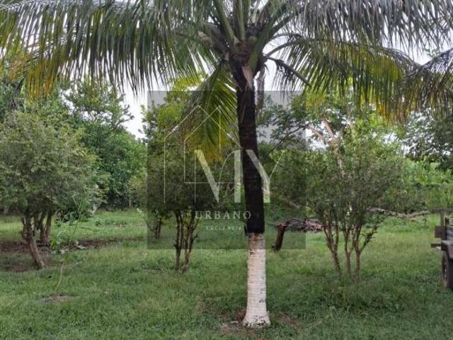 Terreno venda em Nossa Senhora de Aparecida, Rosário Oeste