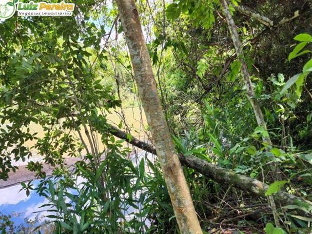 Terreno venda em Região Geográfica Imediata de Campo Grande, São Gabriel do Oeste