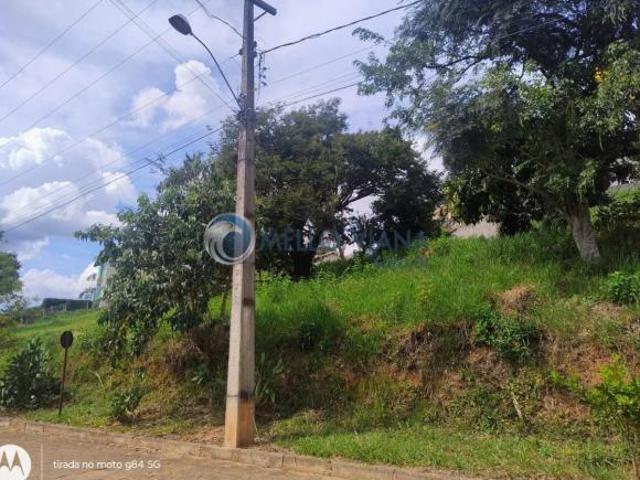 Terreno venda em Região Geográfica Imediata de Teófilo Otoni, Nanuque
