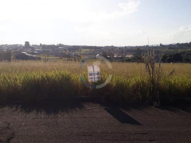 Terreno venda em Alto Bela Vista, São Sebastião do Paraíso
