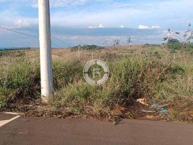 Terreno venda em Vila Dalva, São Sebastião do Paraíso