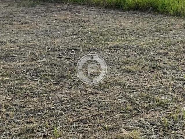 Terreno venda em Vila Dalva, São Sebastião do Paraíso