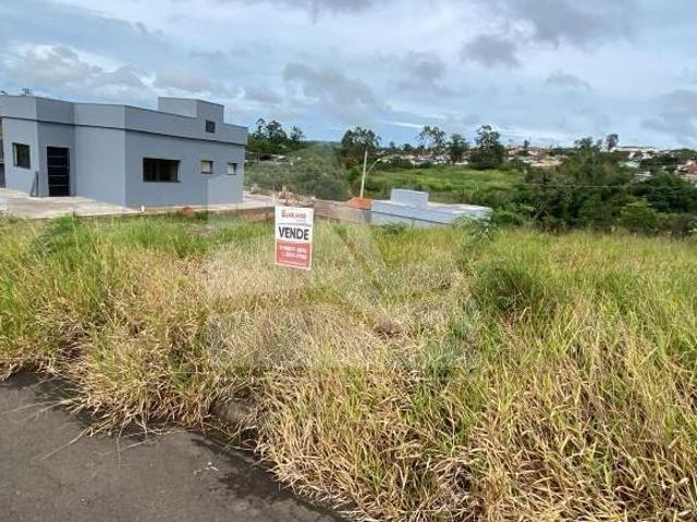 Terreno venda em Vila Dalva, São Sebastião do Paraíso