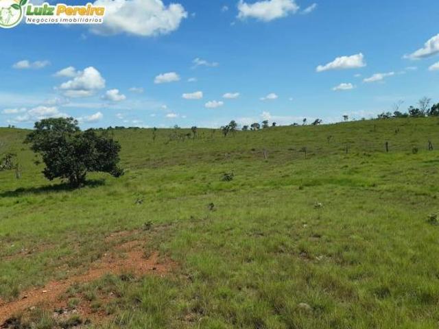Terreno venda em Região Geográfica Imediata de Iturama, Carneirinho