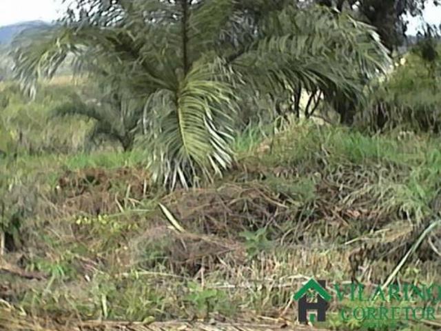 Terreno venda em Região Geográfica Imediata de Belo Horizonte, Região Metropolitana de Belo Horizonte