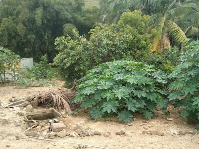 Terreno venda em Região Geográfica Imediata de Santa Bárbara - Ouro Preto, Santa Bárbara