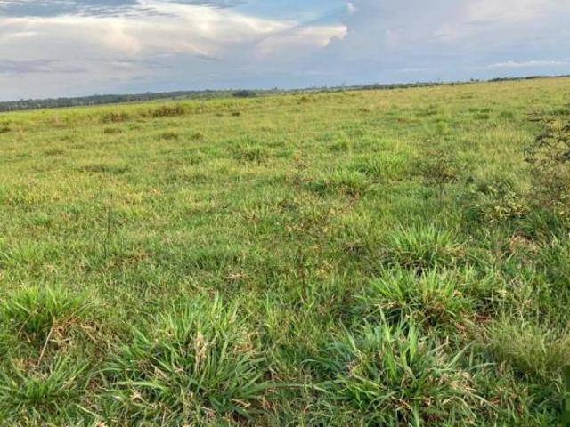 Terreno venda em Região Geográfica Imediata de Ituiutaba, Santa Vitória