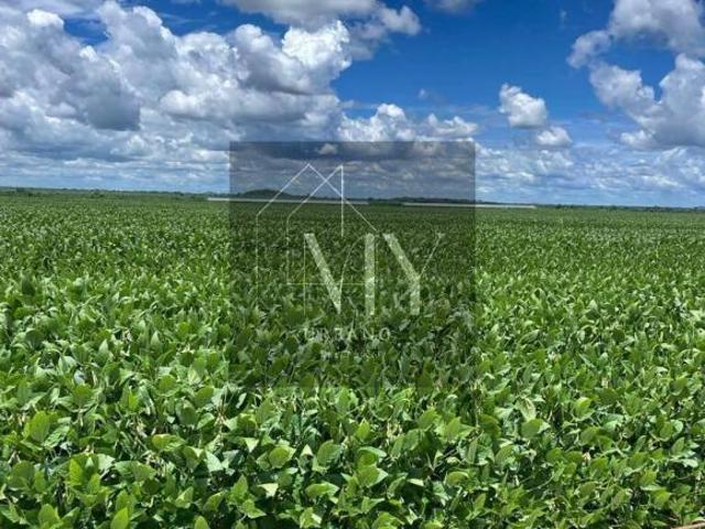 Terreno venda em Região Geográfica Imediata de Cuiabá, Região Metropolitana do Vale do Rio Cuiabá