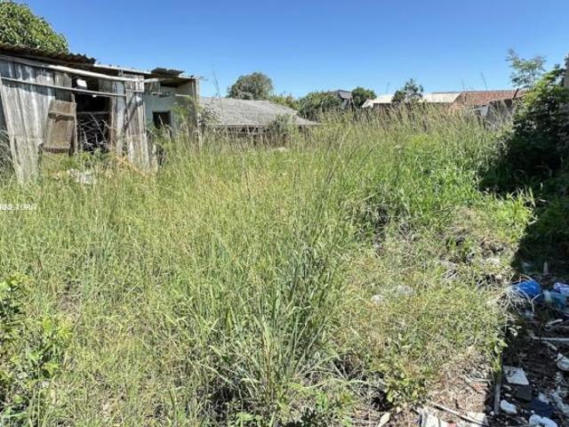 Terreno venda em Região Geográfica Imediata de Charqueadas - Triunfo - São Jerônimo, Região Metropolitana de Porto Alegre