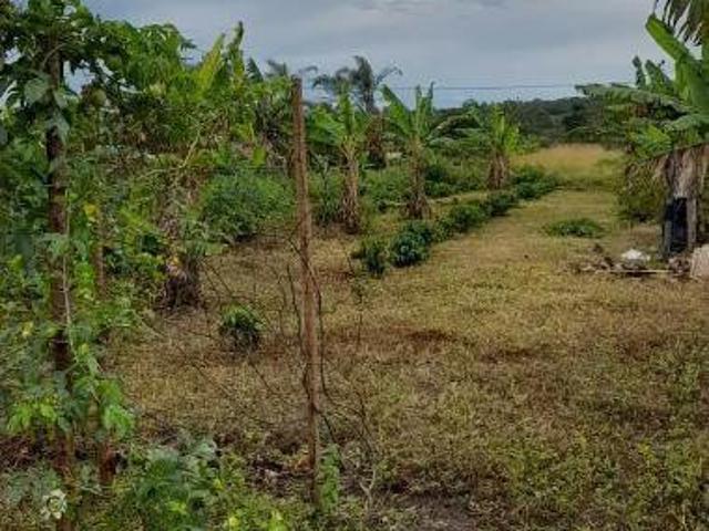Terreno venda em Região Geográfica Imediata de Vitória da Conquista, Barra do Choça