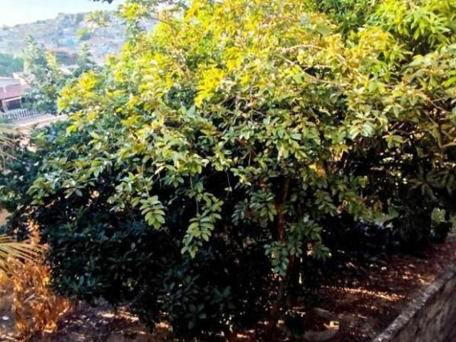 Terreno venda em Região Geográfica Imediata de Belo Horizonte, Região Metropolitana de Belo Horizonte