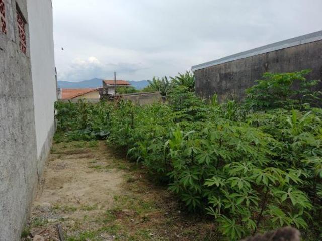 Terreno venda em Região Imediata de Taubaté-Pindamonhangaba, Região Metropolitana do Vale do Paraíba e Litoral Norte