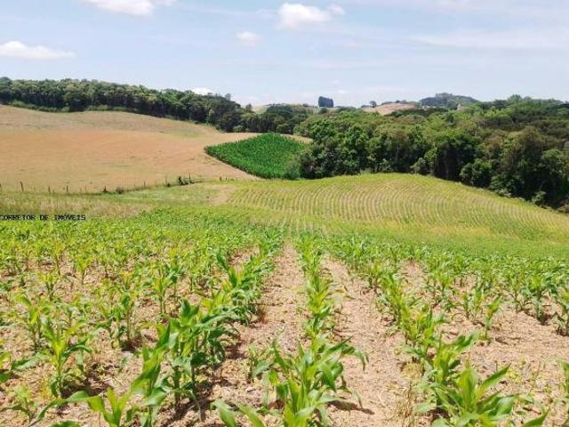 Terreno venda em Contenda, Região Geográfica Intermediária de Curitiba