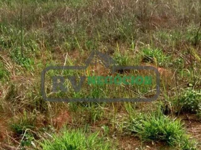 Terreno venda em Coronel Pacheco, Região Geográfica Intermediária de Juiz de Fora