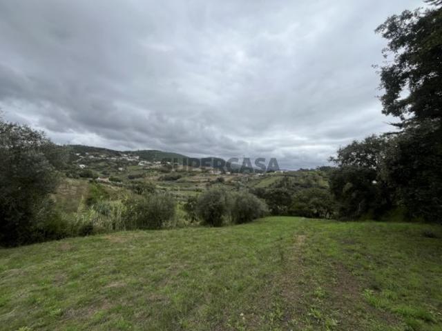 Terreno venda em Leiria