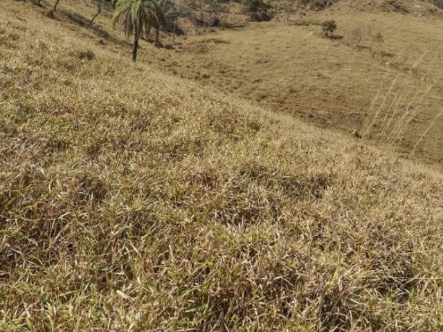 Terreno venda em Crucilândia, Região Geográfica Intermediária de Divinópolis
