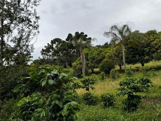 Terreno venda em Crucilândia, Região Geográfica Intermediária de Divinópolis