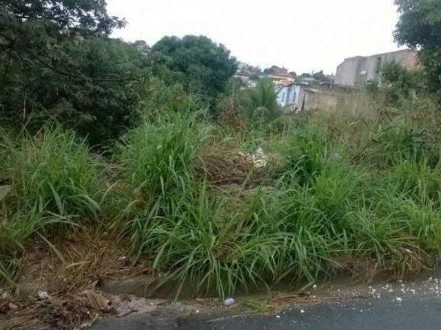 Terreno venda em Chuvinha, Santana de Pirapama