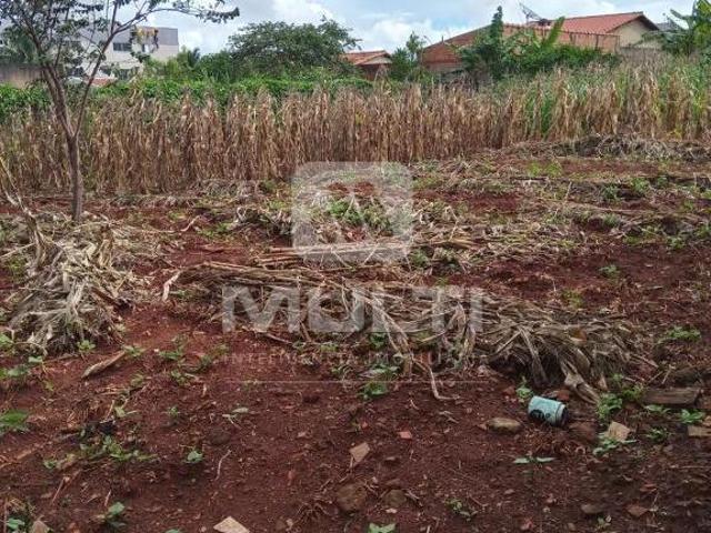Terreno venda em Dona Zulmira, Uberlândia