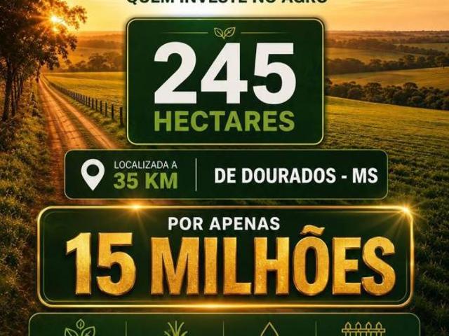 Terreno venda em Região Geográfica Imediata de Dourados, Dourados
