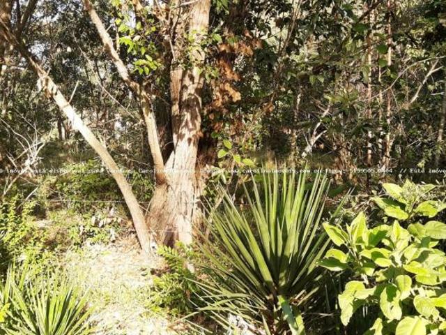 Terreno venda em Região Geográfica Imediata de Porto Alegre, Região Metropolitana de Porto Alegre