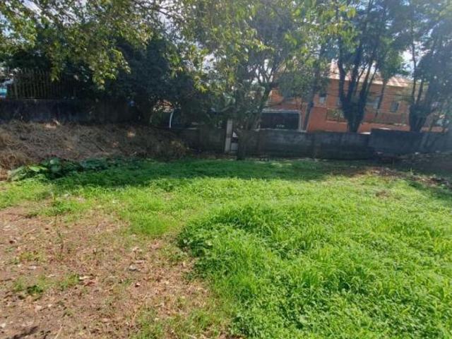 Terreno venda em Parque Boturussu, São Paulo