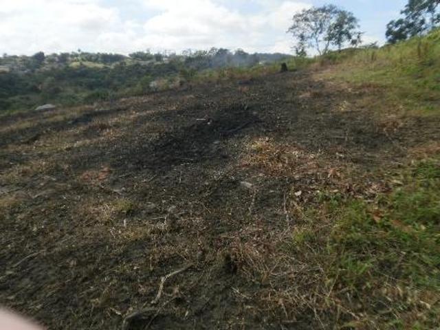 Terreno venda em Vila Estaleiro II, Contagem