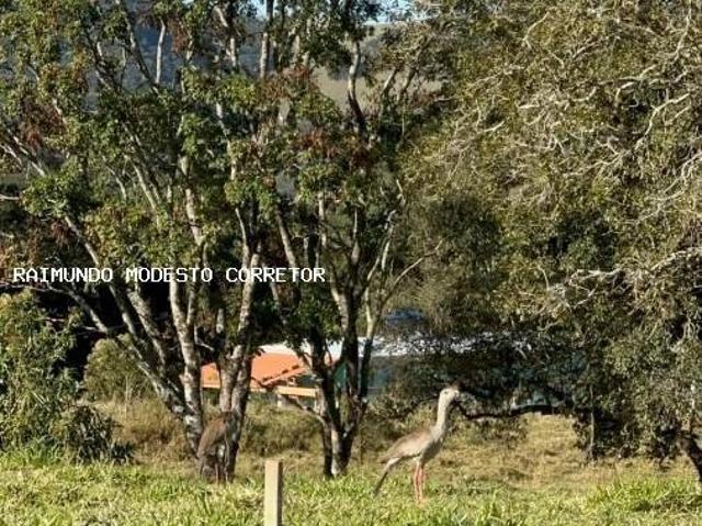 Terreno venda em Extrema, Região Geográfica Intermediária de Pouso Alegre