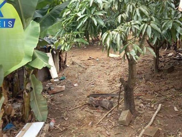 Terreno venda em Chuvinha, Santana de Pirapama