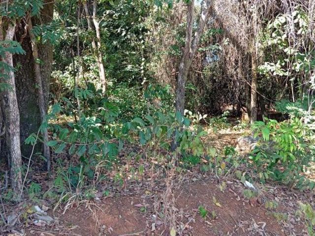 Terreno venda em Região Geográfica Imediata de Goiânia, Goiânia