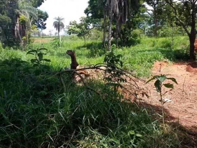 Terreno venda em Região Geográfica Imediata de Guanhães, Dores de Guanhães