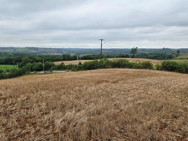 Terreno venda em Região Geográfica Imediata de Curitiba, Região Metropolitana de Curitiba