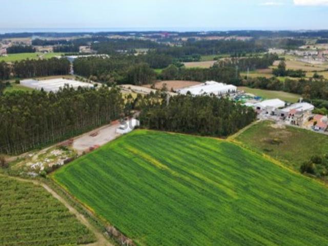 Terreno venda em Vila Do Conde, Porto