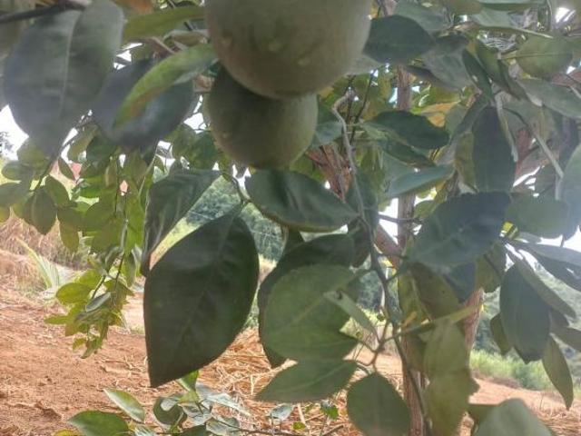 Terreno venda em Cariru, Ipatinga