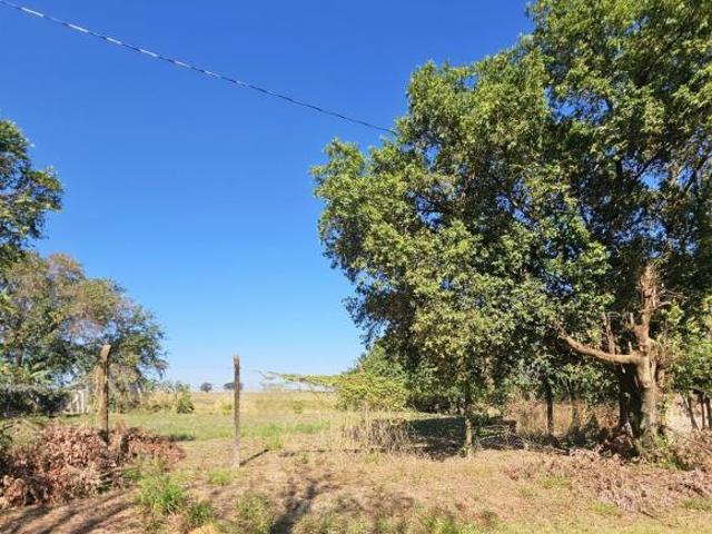 Terreno venda em Ibirá, Região Geográfica Intermediária de São José do Rio Preto