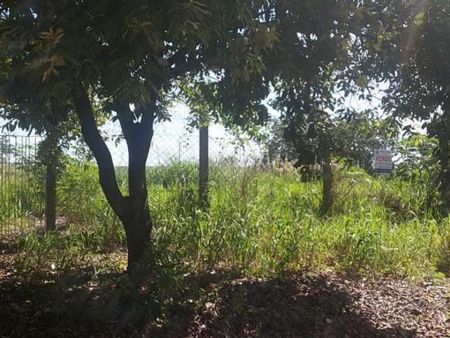 Terreno venda em Ibirá
