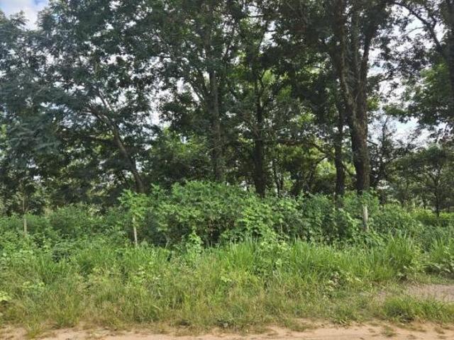 Terreno venda em Região Imediata de São José do Rio Preto, Região Metropolitana de São José do Rio Preto