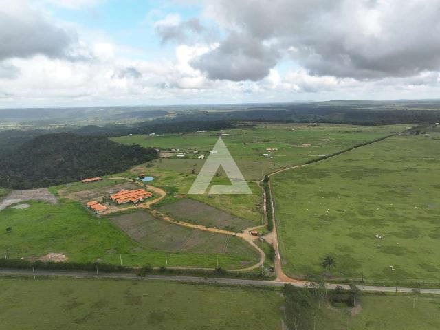 Terreno venda em Cachoeira, Região Geográfica Intermediária de Santo Antônio de Jesus
